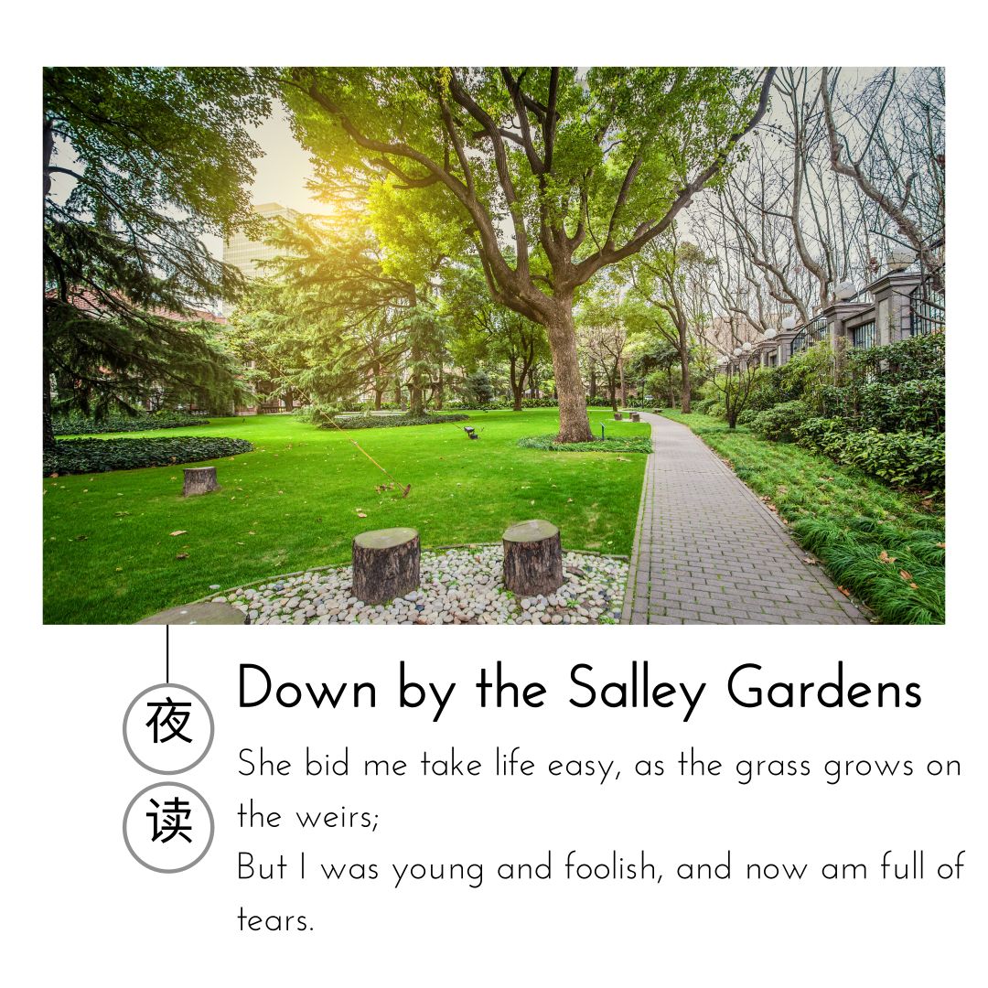 英文夜读 | down by the salley gardens