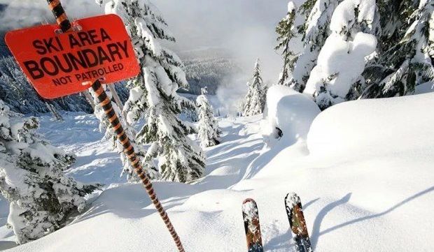 【伦敦头条】伦敦男子家庭日丧命 滑雪季十大保命守则千万要谈球吧体育记好(图5)