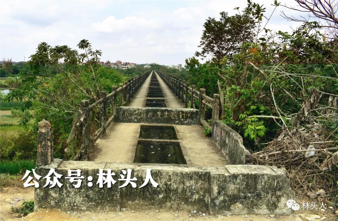 电白旅游胜地30米高空飞越沙琅江遥望浮山岭电白独一无二