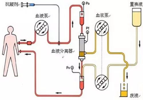 血液净化技术的基本原理_血液净化技术的互补性   血液净化技术在原有技术基础上不断发展和(3)