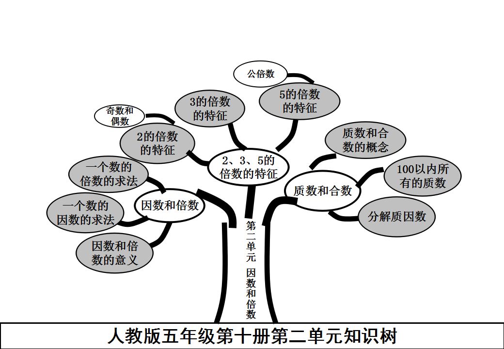 五年级数学上册知识树