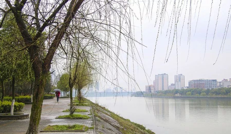 细雨淅淅沥沥