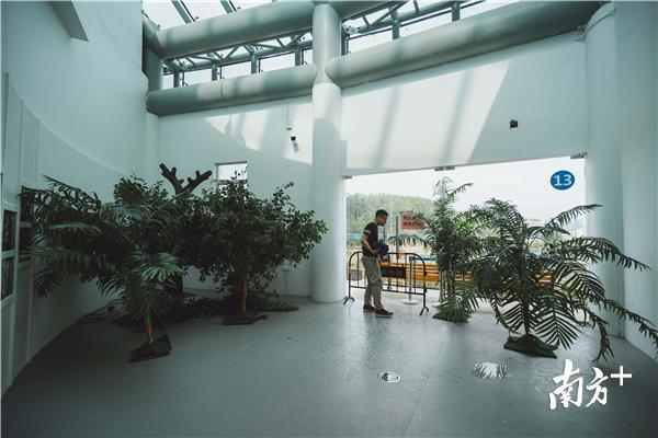 惠州市植物园温室科普馆暂停开放!竟因游客不