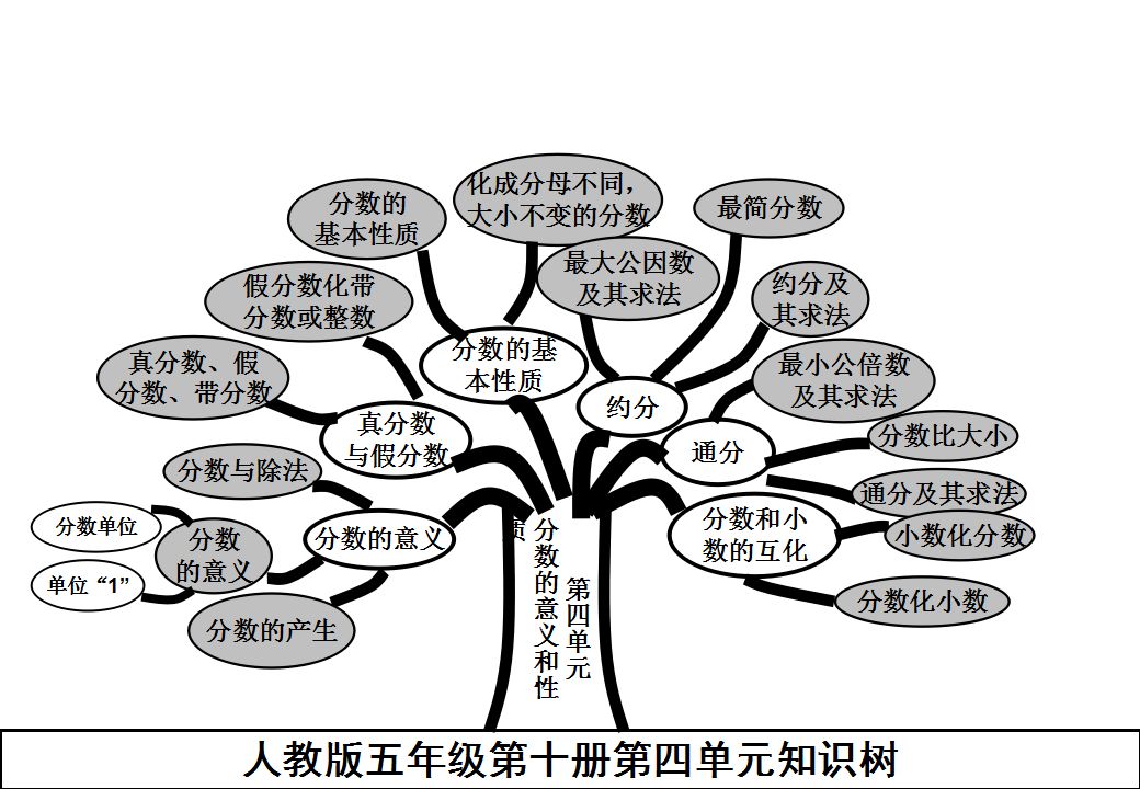 五年级数学下册(重点)知识树,一篇就搞定!