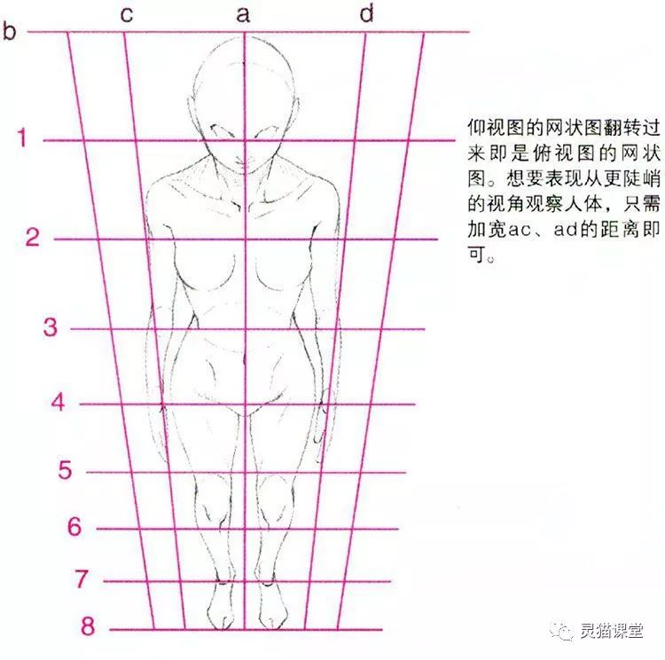 灵猫课堂丨漫画技巧教学-仰视图和俯视图中的人物特点