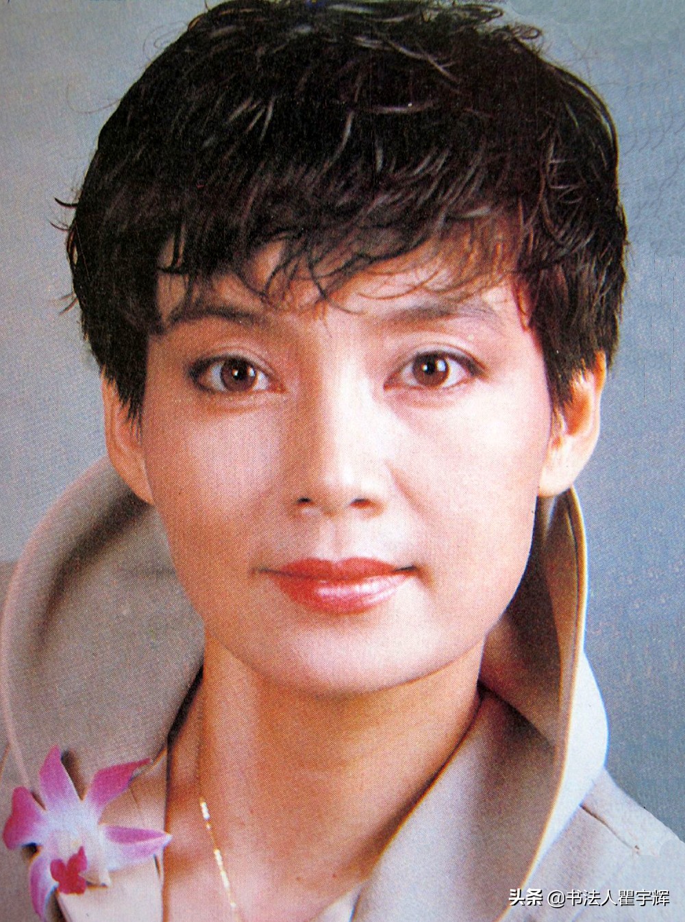 1/ 12 潘虹,原名刘蓉,1954年出生于上海一知识分子家庭,原籍江苏常熟.