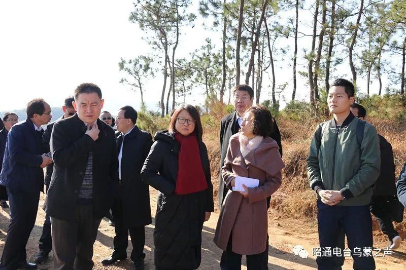 太平街道办事处曹家梁子,昭通机场等地进行实地调研