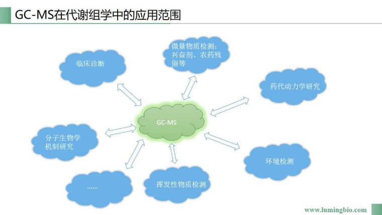 小分子实验原理是什么_分子轨道图是什么(2)