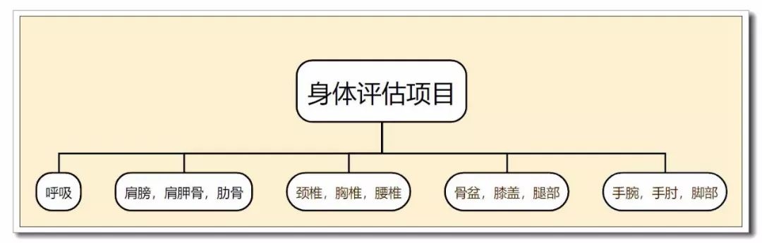 身体评估产后修复许晴臀深度进修报名通道火热开启