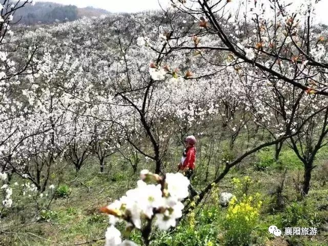 从南漳县城出发,经过十来分钟的车程,就进入到花庄八渡河.