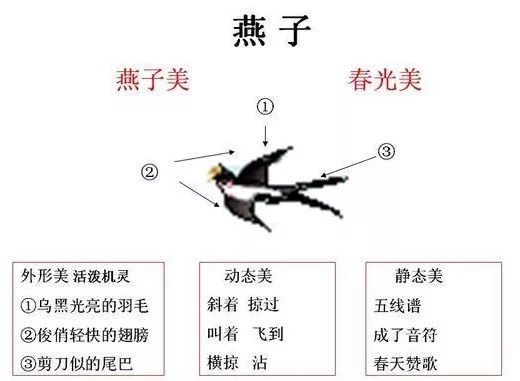 停歇美飞行美春之美外形美燕子板书设计:2燕子心情变化宋曾几三衢道中