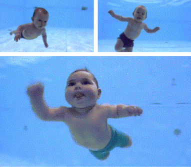 所以,小宝宝在水中一点也不会感到害怕