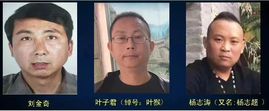 关于检举揭发蒲城"刘金奇,叶子君,杨志涛" 为首的涉嫌黑恶违法犯罪