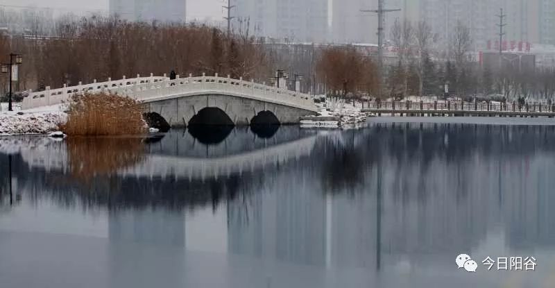 古色古香的紫汇湖畔蓝天下的阳谷南湖更显得风景秀丽,感谢阳谷摄影