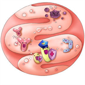                     父母不可不知，超过80%的婴幼儿肠道处于不健康状态！