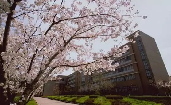 华东师范大学闵行校区