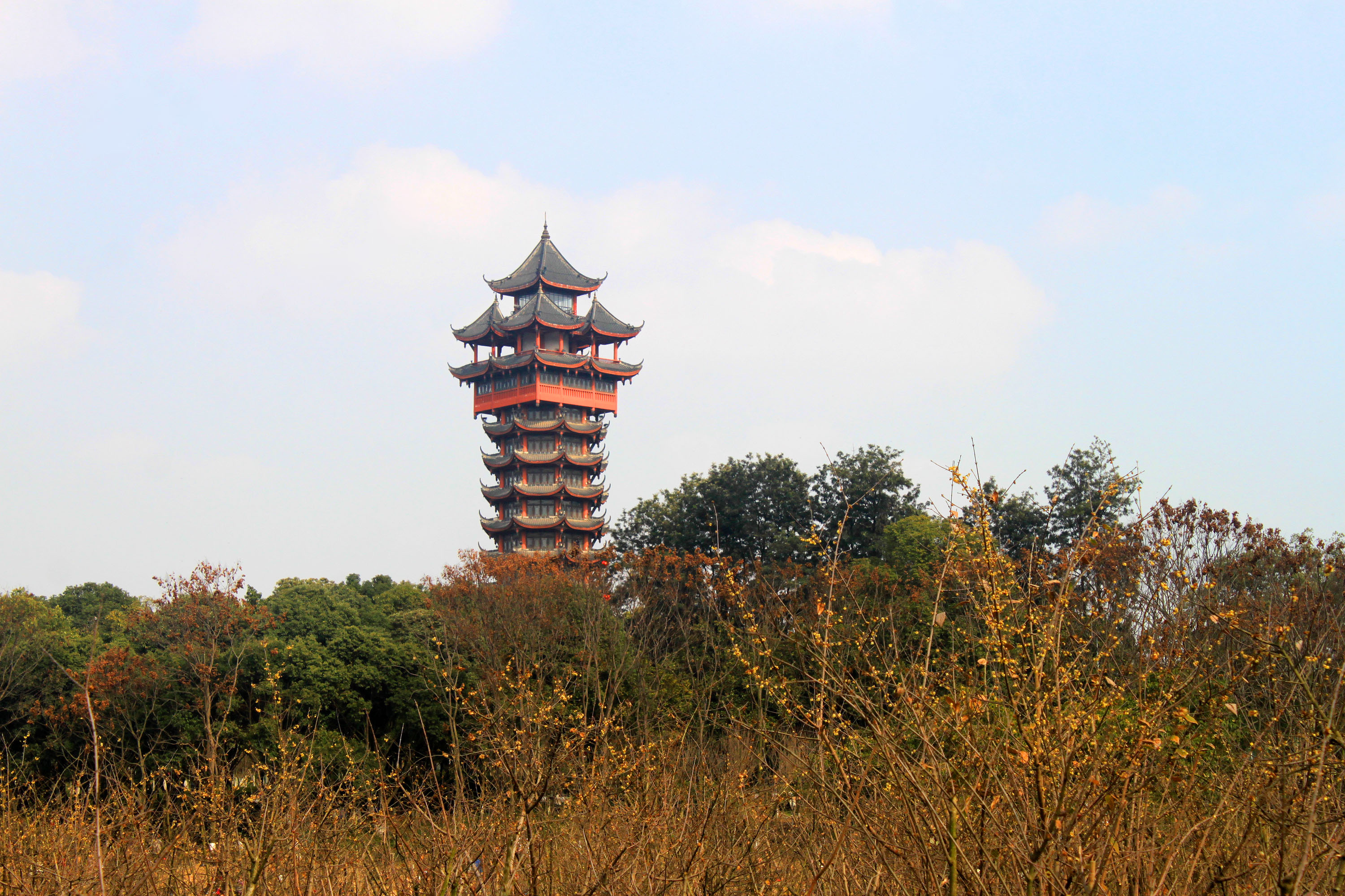 塔子山上春意浓,海棠花开竞争艳