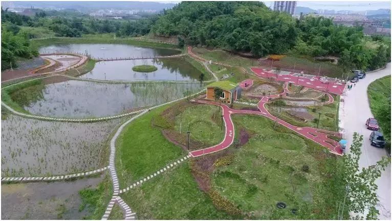 看区县·两江新区|悦来生态城中心广场成新地标,海绵建设成亮点