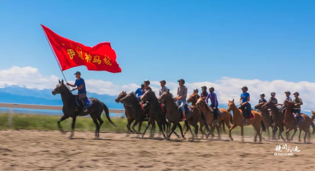 伊犁昭苏马场-天马基地 摄影天堂