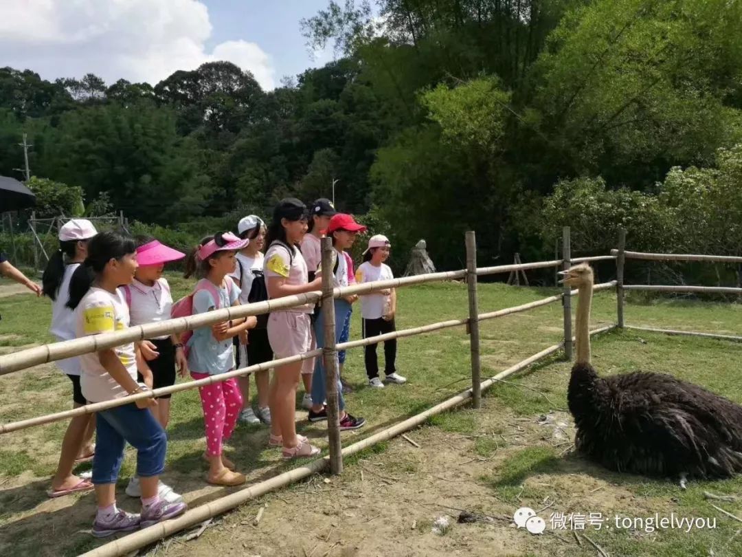 【定制1天】从化|耕山小寨乡村游自然探索乐园!~植树