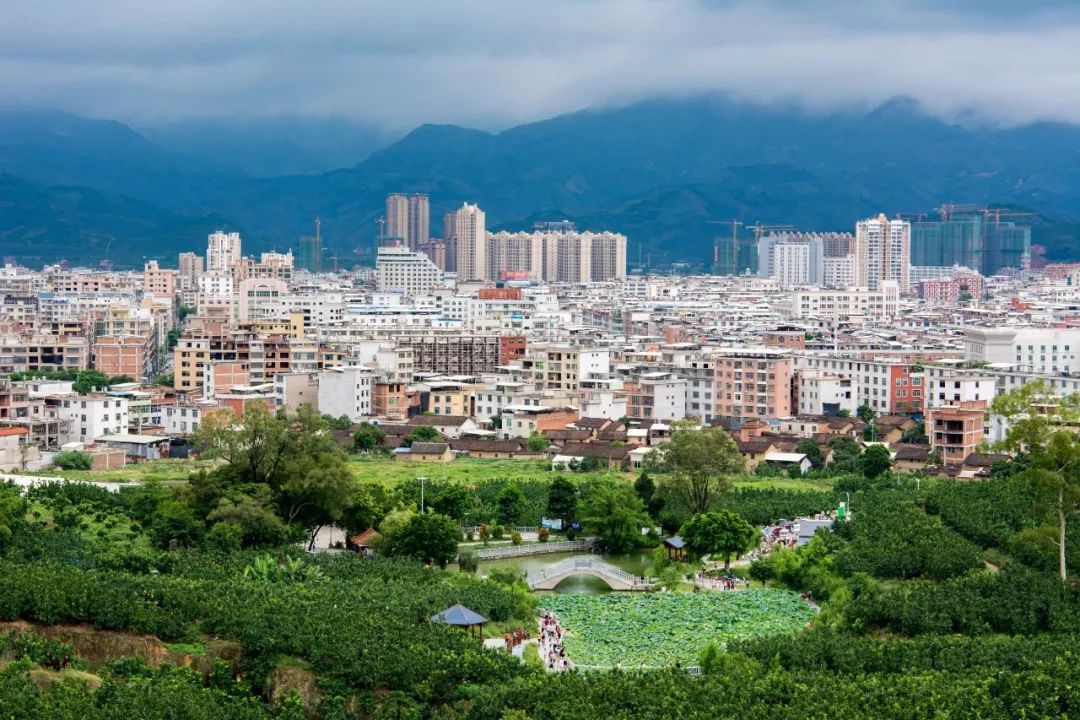 又一个省级荣誉称号花落平和!_平和县