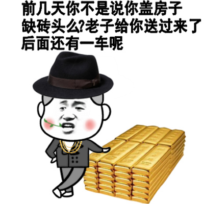 土豪专用表情包金砖盖房你懂吗