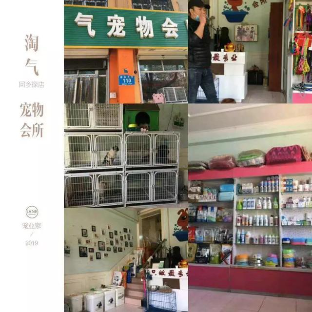 春節返鄉寵物市場調研：保定定興寵物店在營16家，河北產地糧銷售為主 寵物 第3張