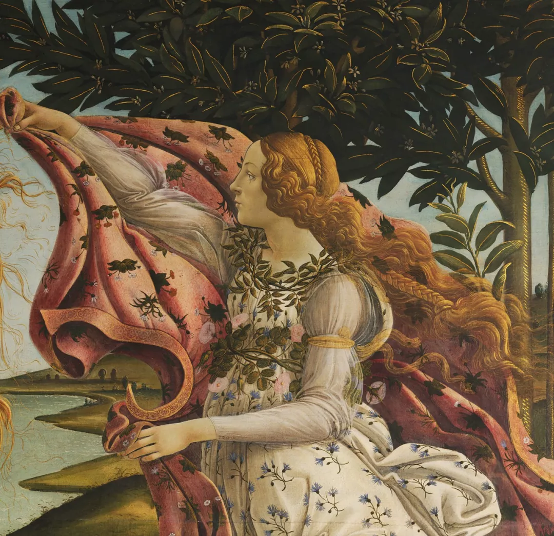 the birth of venus(detail)