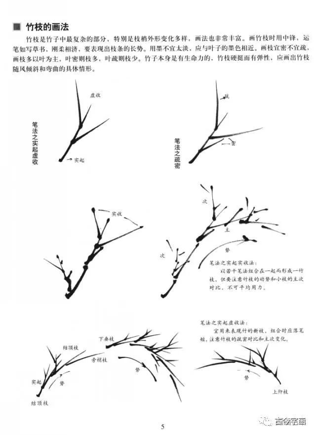 竹枝的画法