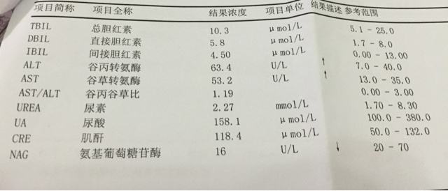 肝功gdp(2)