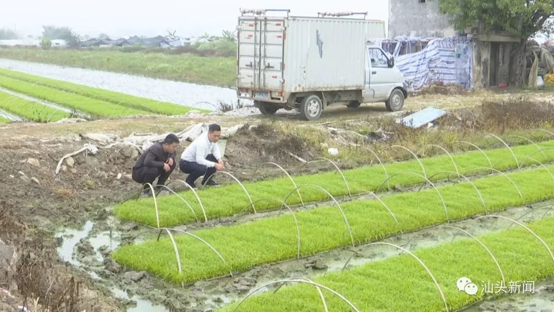 郑良泽:我们提出了"两个一百年"的奋斗目标,第一个百年奋斗目标的实现