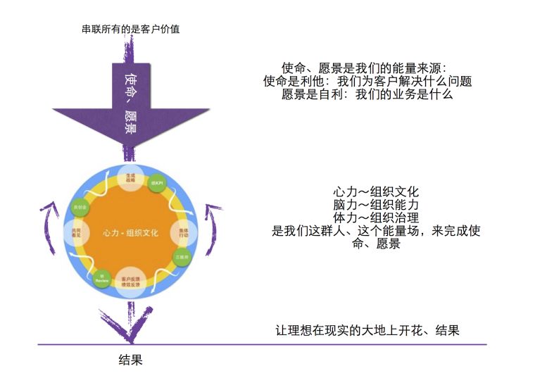 阿里 人口_拳王阿里