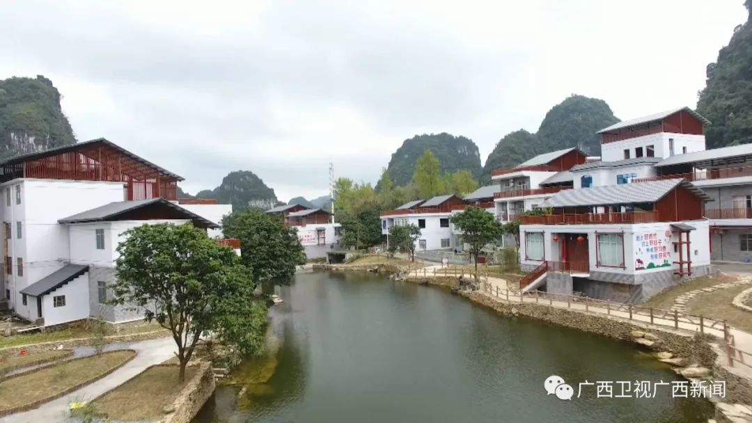 【决胜脱贫攻坚 推动乡村振兴】田阳县巴某村:乡村旅游旺 振兴后劲足