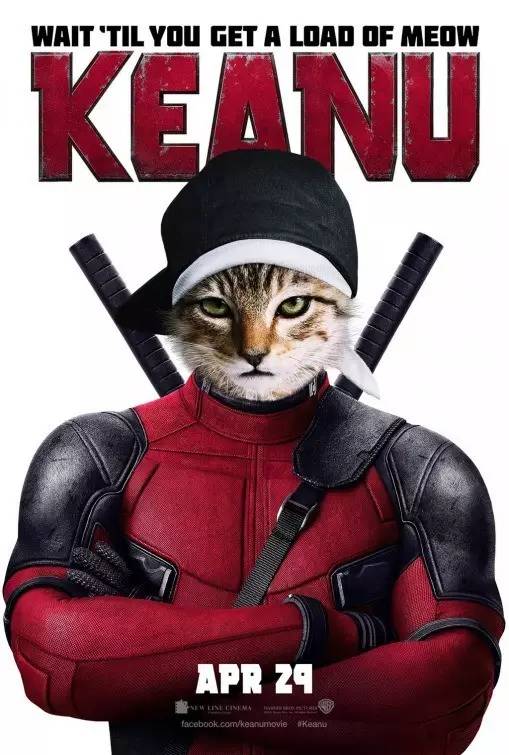 够了吗 本编找够了来看今天的电影吧《keanu(中文译:基努猫《knock