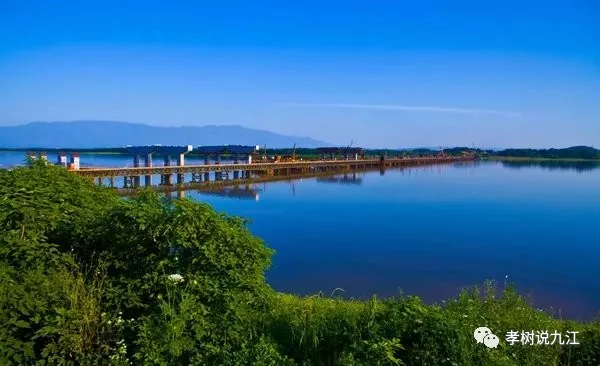 九江市柴桑区一小倾情演绎美丽柴桑我的家