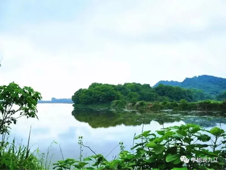 男女:赛城湖新区,高铁新区已成为大九江新坐标.