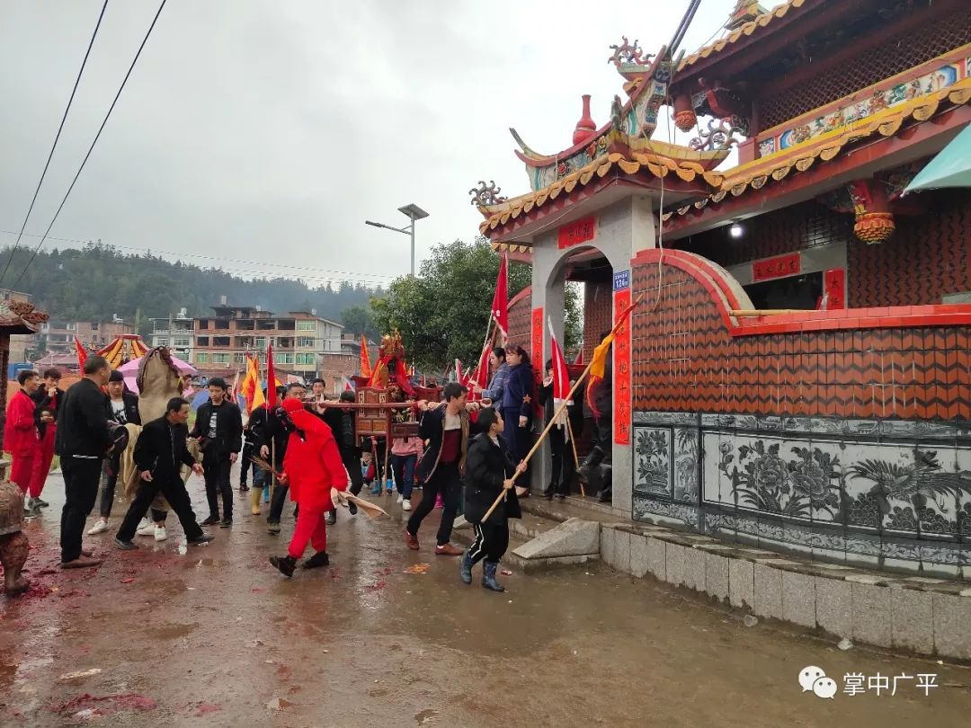 福建大田苏桥2019太保公,南朝大帝公,七星烛巡境,赏丁,双狮舞动