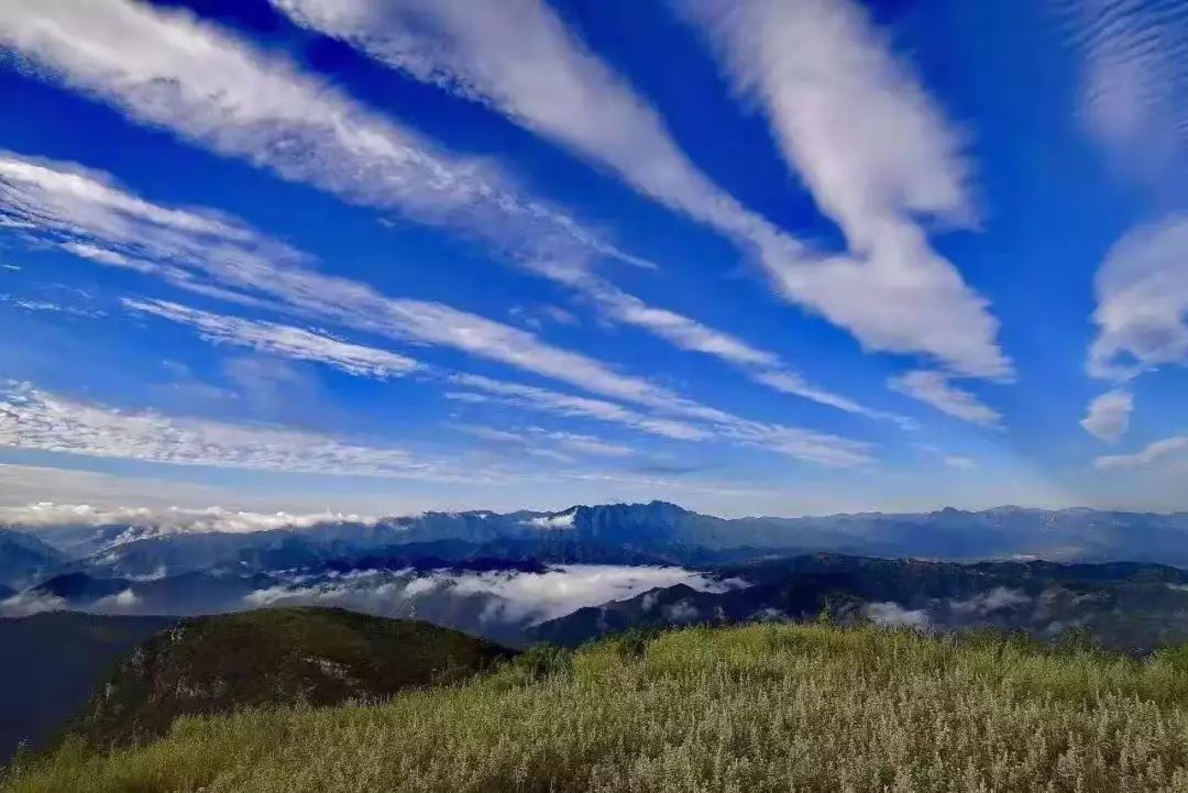 古诗词里的中国色配上蓝田美景,美得不可方物!