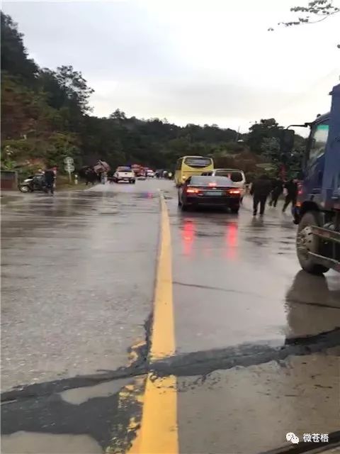 今天,梧州207国道山心路段发生车祸,一人当场死亡.