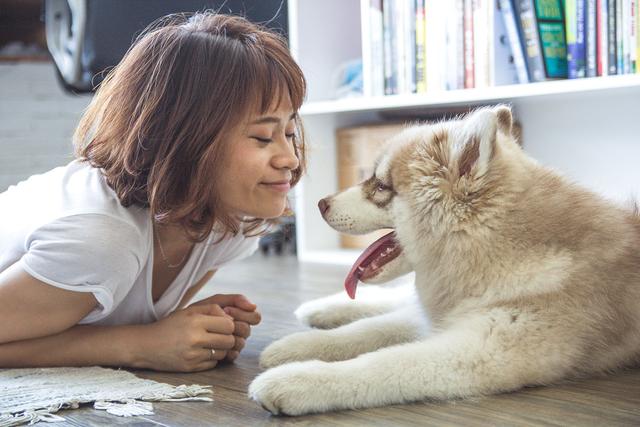 有些狗跟人精一樣？因為會看主人臉色，這是天生的能力 未分類 第4張