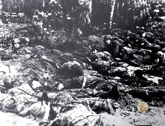 原创太平洋战争老照片:美军血战布干维尔岛,丛林拯救了日军的命