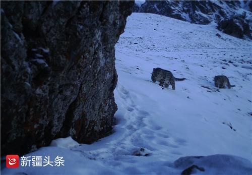 新疆乌苏有多少人口_“夺命”大乌苏,新疆人最爱喝的啤酒,普通人没酒量不敢