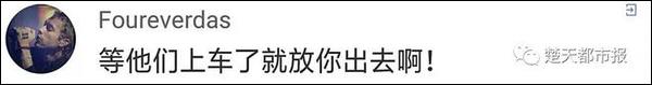 紮心了…地鐵內一只老鼠笑翻網友 寵物 第15張