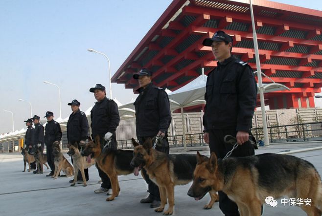 国内首部地方性标准保安犬的训练及使用规范在上海市诞生