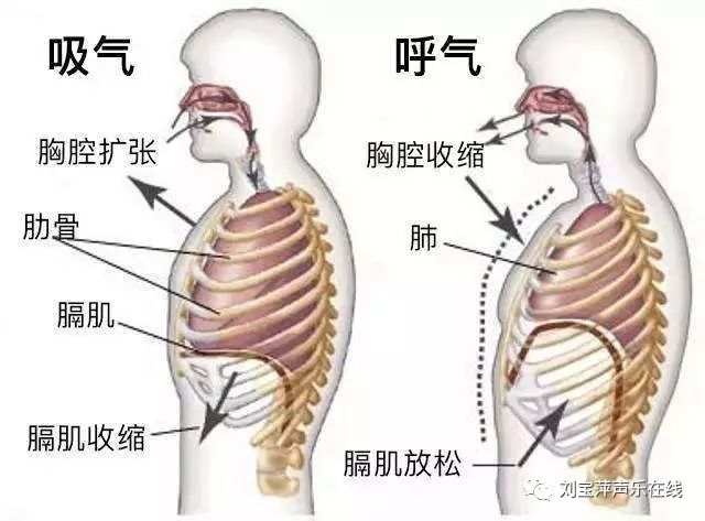 漫谈歌唱123呼吸法分分钟让你学会歌唱的呼吸