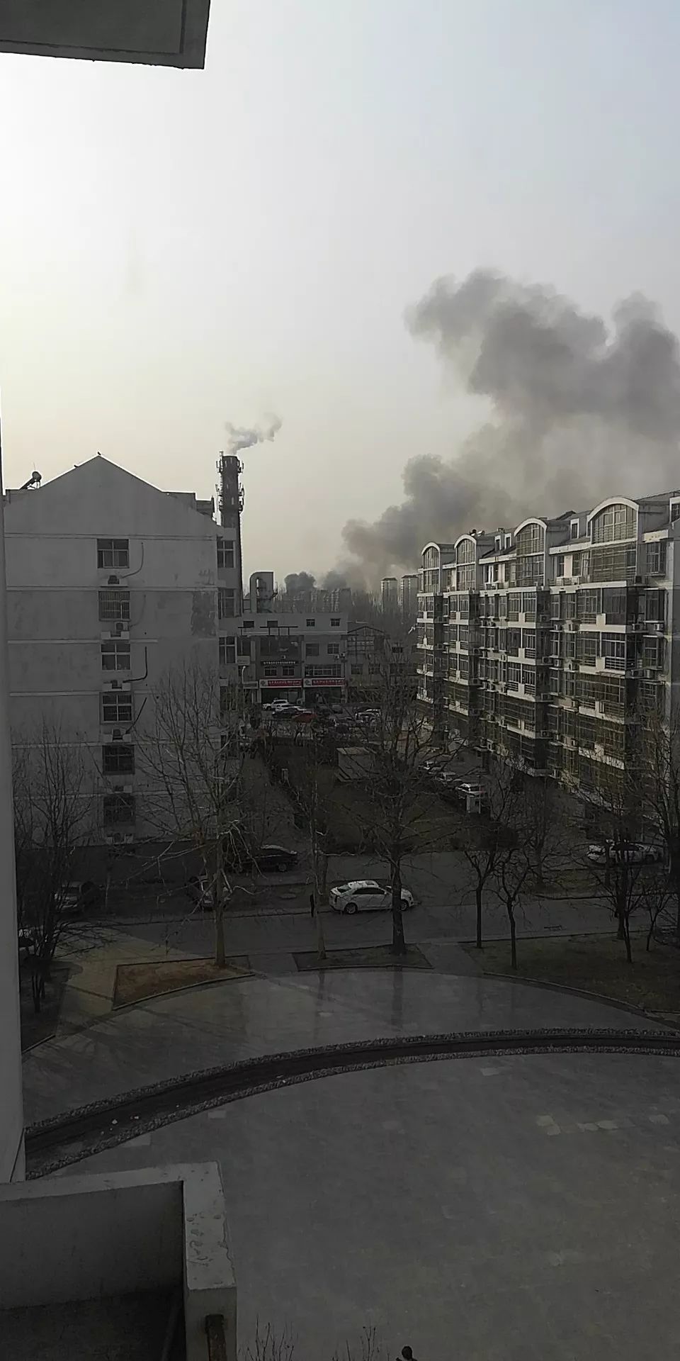 宝坻人口最多的镇_宝坻温泉城图片