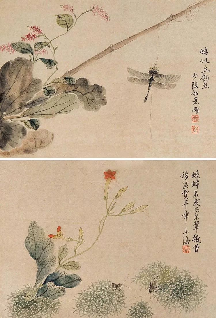 晚清画家翁小海花鸟鱼虫精品鉴赏