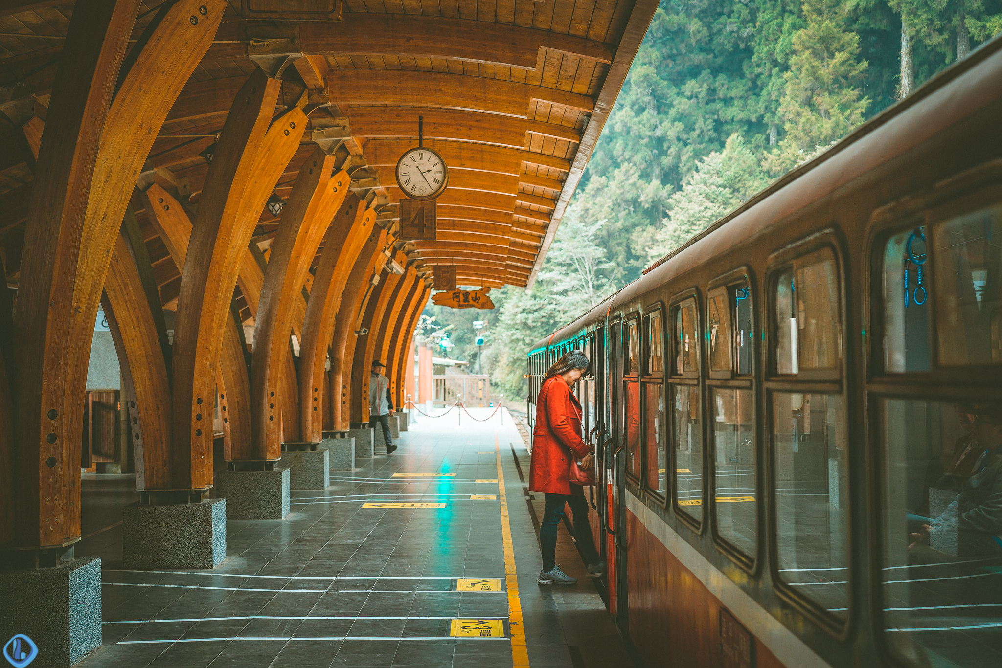 【阿里山小火車】專列才能到的秘境！體驗聞名國際的森林生態與世界登山鐵道工法 - 欣傳媒XINMEDIA 最懂生活的咖
