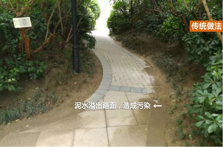 水流过大时 泥水溢出 直接冲刷至路面 海马·壹号公馆景观园路与绿化