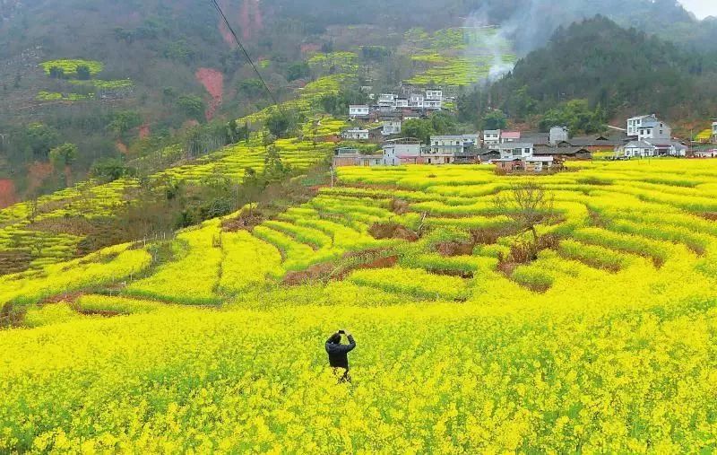 三月，我住進了春天里 娛樂 第4張